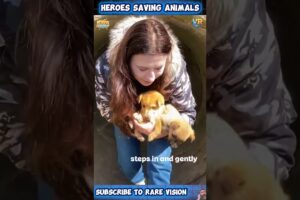 Heroes Saving Animals in Real-Life Rescues 🐾 | Part 25❤️