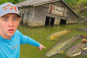 I Found an Abandoned Fish Farm!
