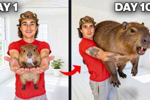 I Raised a Capybara! (100 Day Evolution)