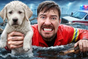 I Saved 1,000 Animals From Dying