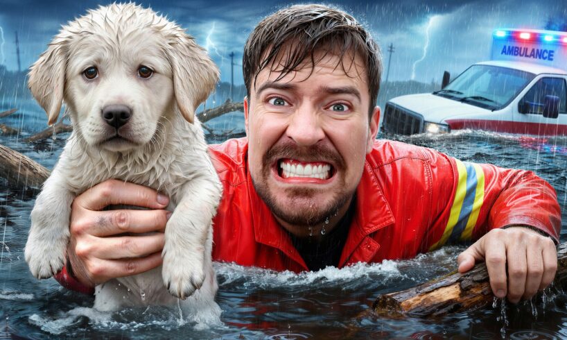 I Saved 1,000 Animals From Dying