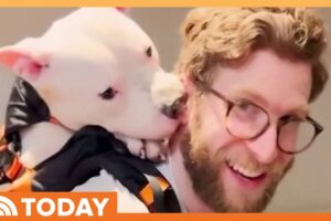 Influencer Uses Social Media to Shine a Light on Shelter Dogs