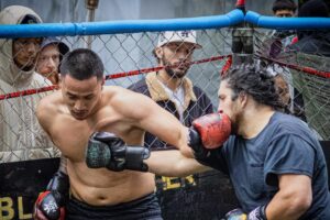 Let's watch some fights together