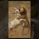 Lion vs Bull Intense Chase 🦁🔥 | Wild Survival Fight in Desert | Real Wildlife Attack#shorts