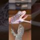 Lizard Eye Infection Treatment #animalrescue #shortsfeed