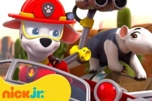 PAW Patrol Baby Animals Rescues & Adventures! w/ Marshall and Chase 🐥 | Nick Jr.