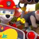 PAW Patrol Baby Animals Rescues & Adventures! w/ Marshall and Chase 🐥 | Nick Jr.