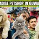Pet Paradise Petshop in Guwahati 😍Cute Puppies Available 🐶