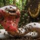 Predator's Mistake: King Cobra and Wasp Nest | Animal Fights