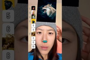 Ranking Animals I Could Beat in a Fight: