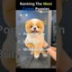Ranking The Most Cutest Puppies! (Which breed is your favorite?) 🐾✨#shorts