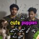 Rawalpindi College Road | Best Offer On Cute Puppies | Shahzain’s Animals Vlogs |
