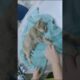 Rescue a family of cat #rescue#rescueanimals#catsoftiktok#cat#animals