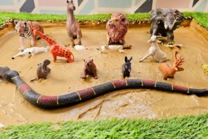 Rescuing & Cleaning Forest and Jungle Animals From the Mud | Learning with Fun and Games