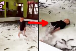 SCARY VIDEOS That’ll Make You Pee