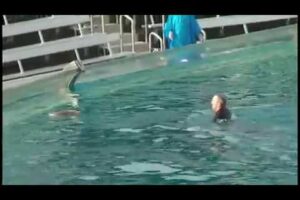 Sea World, Shamu kills trainer VIDEO!