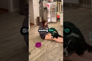 Service Dog Saves Girl During Emergency!