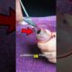She Found A Dying Axolotl and Change it's life Forever #shorts #Axolotl #AnimalRescue