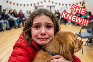 She Refused Every Family on Adoption Day. Then We Realized Who She Was Waiting For. 🐾✨