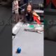 She Thought Her Cat Was Ruining Everything…😳🐱🎱 #cat #billiards #funny