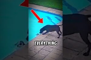 She Was Afraid of Water, But Did This Anyway