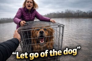 She tried to THROW HER DOG in the water ! (Animal getting rescued compilation)