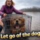 She tried to THROW HER DOG in the water ! (Animal getting rescued compilation)