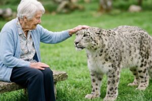 Snow Leopard Escapes Zoo. Everyone Fled but an Old Woman... | Animal Rescue Story