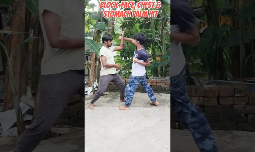 Some effective selfdefense techniques with block#mma#martialarts#karate#street fighting#training#yts