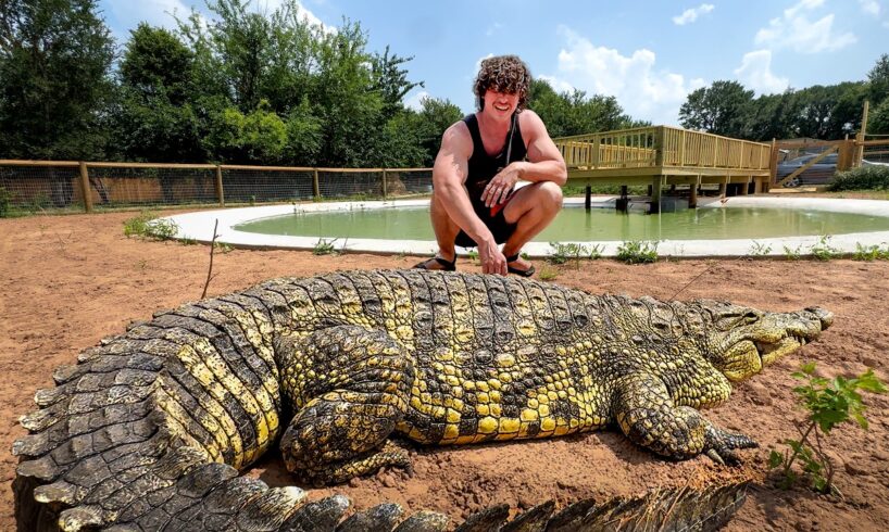 Someone Gave Me a 9 Foot Crocodile (we ate him)