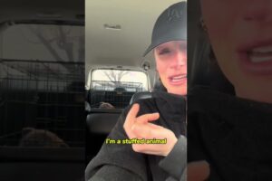 The Dog Nobody Wanted | Until She Fought For Him  #rescue #shorts #dogrescue