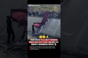 The Touching Story Behind Almaty’s Dog Rescue Statue ❤️ #information #dog #hearttouching