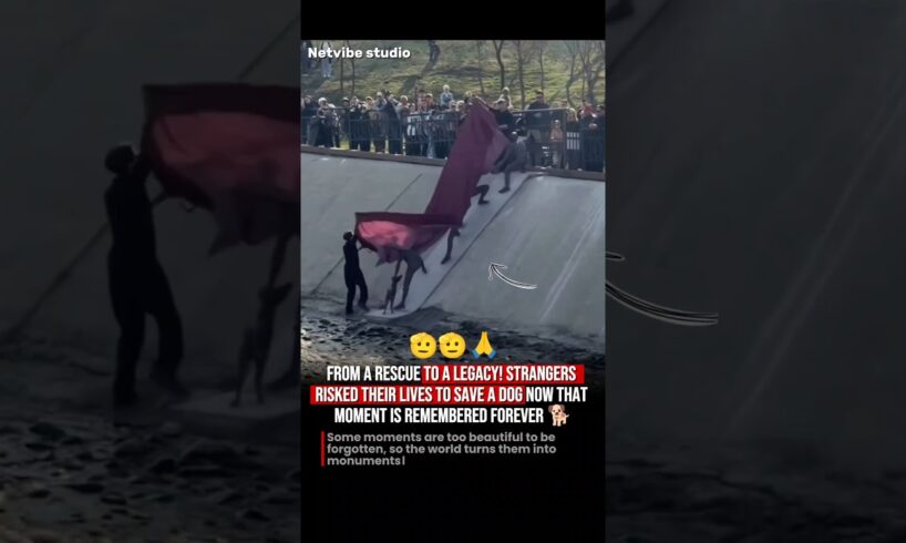 The Touching Story Behind Almaty’s Dog Rescue Statue ❤️ #information #dog #hearttouching