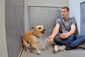 This Dog Tried Attacking Everyone..Then I Read What His Owner Wrote About Him