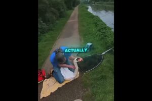 This Very Kind Men Rescued A Swan 🦢❤️ #shorts