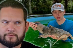 This YouTuber FAKES Animal Rescues