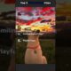 Top 5 Cutest Dogs Ranked #dogs #cute #funny #fun #fyp #shorts