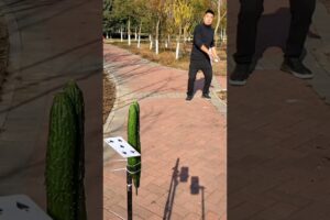 Two Ridge Gourd vs Poker Card Challenge Accepted || RKR Tricks