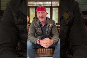 🚨VOTE!! (Webby Awards)