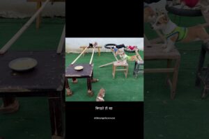 Watch These Cute Puppies Balance for Food