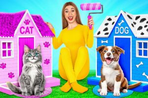 We Build Secret Rooms for Pets by Multi DO Smile