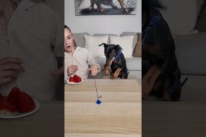 We are playing “Who’s faster?” with my dog 🐶