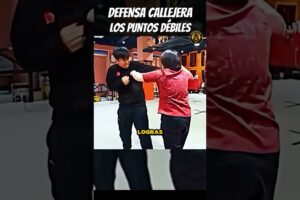 #defence #combatesindividuales #mma #defensanacional #boxing #autoprotección #jiujitsu #defensaperso