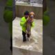 would you jump into save ? 🐶  #animalrescue #rescueefforts #puppy