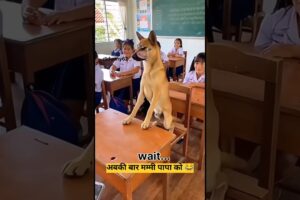 एक बार धोखा खाचुका हूं😂🤣#Thetharjaanwar#shorts#comedy#funny #viralshots#Thetharpuns