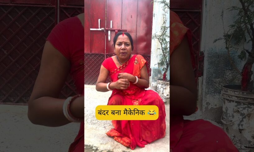 कॉमेडी विडियो 😂😂 #funny #comedy #shorts #cat