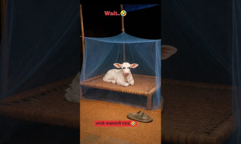 लगा के मच्छरदानी रजऊ😂🤣 #Thetharjaanwar #shorts #comedy #funny #viralshots #Thetharpuns