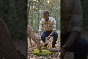 ଭାବୁକ ପଶୁ ର କାହାଣୀ 🙏#animal story#emotionalatory#saveanimal#odiashortsanimal#natiacomedy#injuredanim