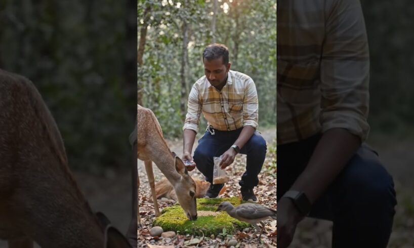 ଭାବୁକ ପଶୁ ର କାହାଣୀ 🙏#animal story#emotionalatory#saveanimal#odiashortsanimal#natiacomedy#injuredanim