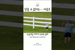 말과 아이, 말없이 통했던 특별한 마음